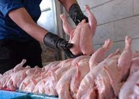ضبط ۵۳۰ کیلوگرم مرغ به دلیل عدم انطباق با شرایط بهداشتی در روانسر