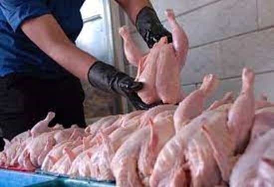 ضبط ۵۳۰ کیلوگرم مرغ به دلیل عدم انطباق با شرایط بهداشتی در روانسر