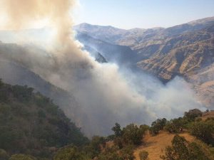 تلاش برای مهار آتش در منطقه حفاظت شده بوزین و مرخیل باینگان ادامه دارد
