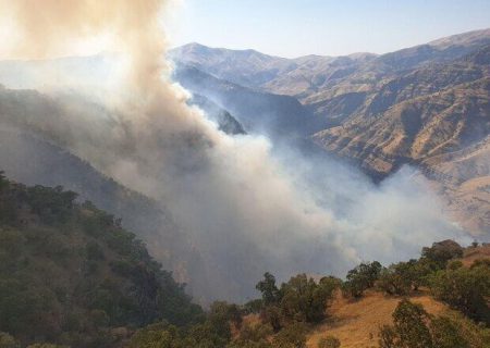 تلاش برای مهار آتش در منطقه حفاظت شده بوزین و مرخیل باینگان ادامه دارد