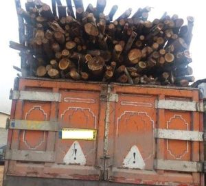 کشف چوب قاچاق در شهرستان ثلاث باباجانی